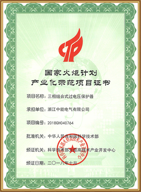 2018 National Torch Plan Arrester certificate